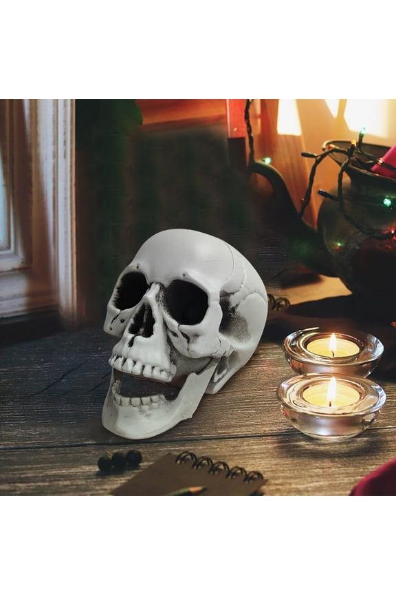 Halloween Skeleton Decoration Halloween Skeletons Plastic Realistic Fake Simulation Human Skull HeadBone Model Halloween Prop Realistic Mini Skeleton Spooky Halloween Decoration