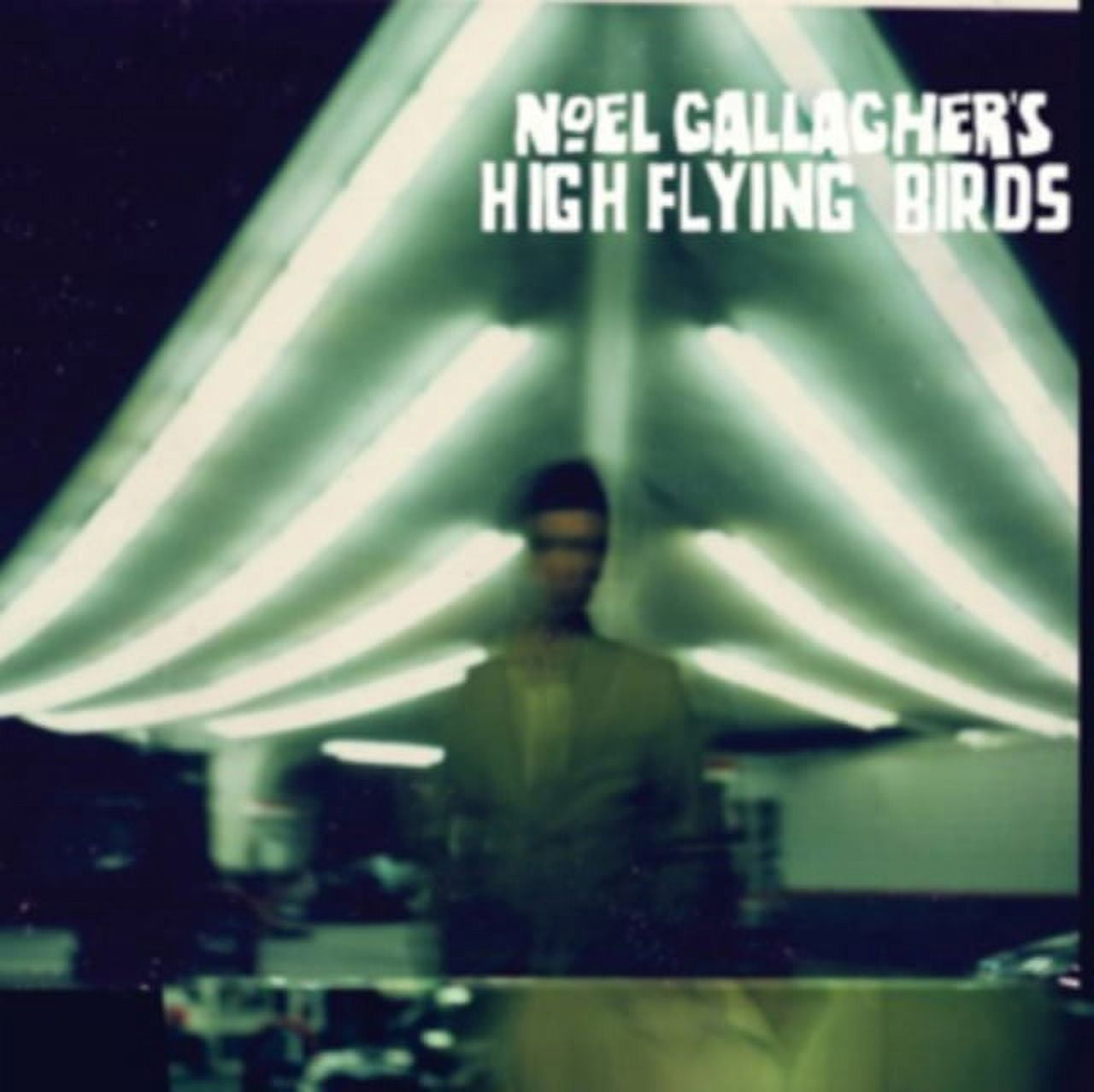 Noel Gallagher's High Flying Birds 7インチ NOEL GALLAGHER?S HIGH FLYING BIRDS [5052945010021] - Walmart.com
