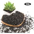 thumbnail image 1 of NOGIS 0.77lb Black Lava Rocks for Plants, Volcanic Rock Horticultural Lava Rock Soil for Landscaping Plants Drainage, Small Lava Rock Gravel for Succulents, Bonsai, Vase Fillers, Top Dressing, 1 of 6