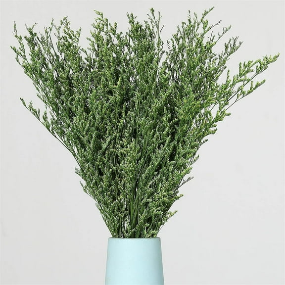NOGIS 15.7 inch Preserved Natural Limonium Bouquet, 4.2 oz Stems Real Fresh Caspia Flower Bundle, Sea Lavender, Baby Breath Flowers, for Wedding Birthday,Home Dcor(Green)