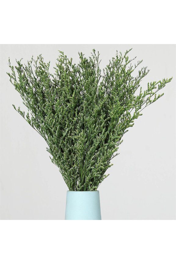 15.7 inch Preserved Natural Limonium Bouquet, 4.2 oz Stems Real Fresh Caspia Flower Bundle, Sea Lavender, Baby Breath Flowers, for Wedding Birthday,Home Dcor(Green)