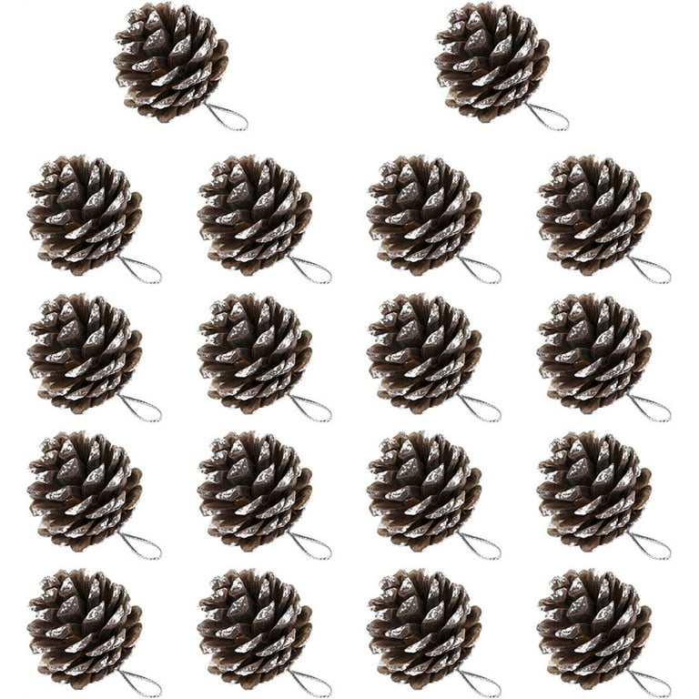 NOGIS 18Pcs Christmas Natural Pine Cones Bulk Rustic Snow Pinecones with  String Pine Cone Pendant Winter Holiday Hanging Ornament for Xmas Tree Gift  Tag Party Decoration, 1.2-1.6 Inch 