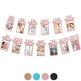 thumbnail image 1 of NOGIS 1st Birthday Photo Banner for Baby from Newborn to 12 Months, First Birthday Decorations, Pre-Strung One Year Old Birthday Photo Banner with Frame, Monthly Milestones Garland (Rose Gold), 1 of 7