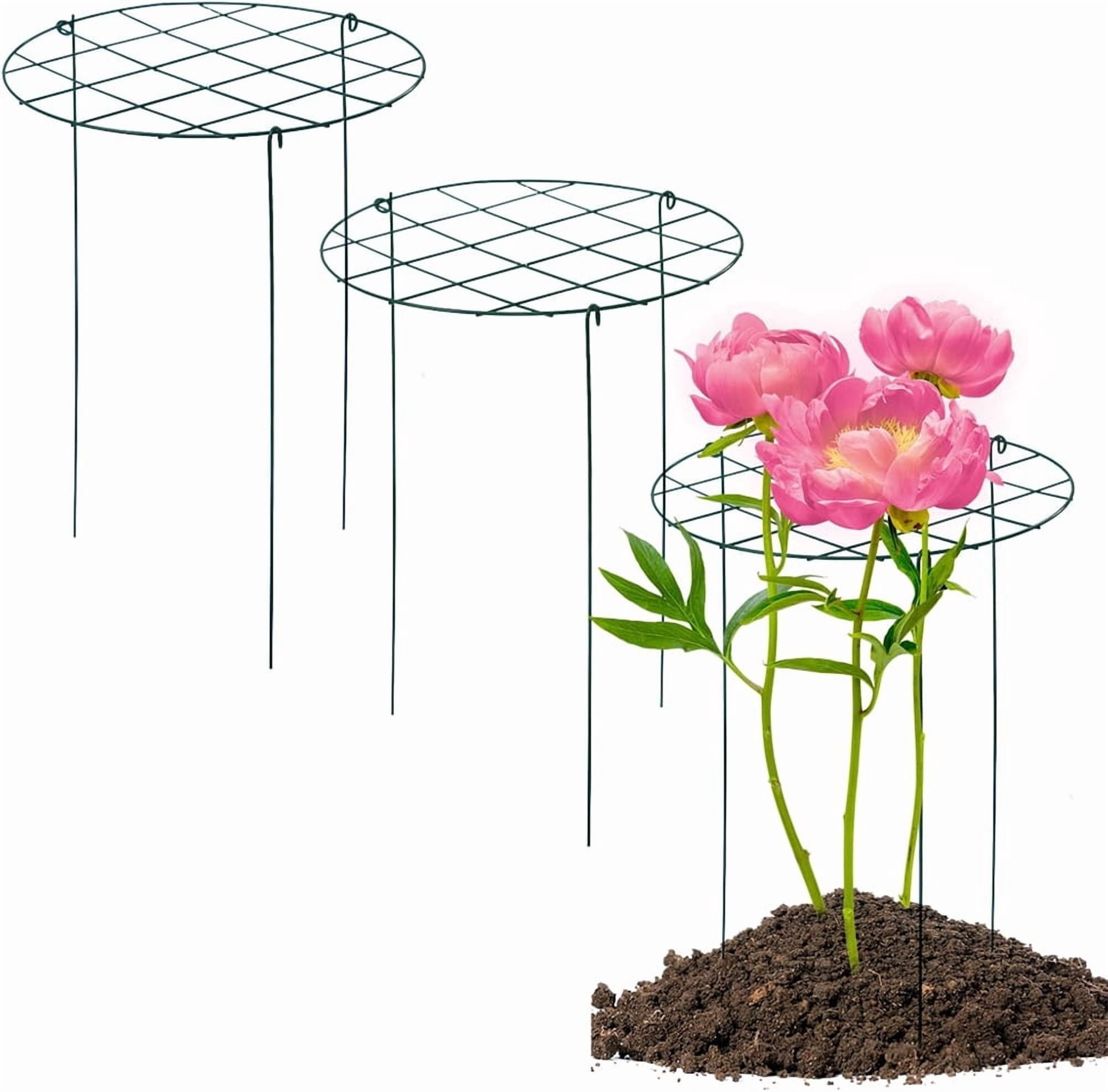 NOGIS 2 Pack Round Peony Cages and Supports Grow Through Grid Plant Brace,16 inch Heigh Plant Support Stake for Small Plant Flower Vegetable (12 x 16 Inch)