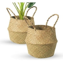 NOGIS 2 Pack Woven Plant Basket - Wicker Belly Basket Planter Indoor with Plastic Liner and Handles, Natural Plant Pot for Fiddle Leaf Fig Tree, Snake Plant (Small, Natural- Beige)