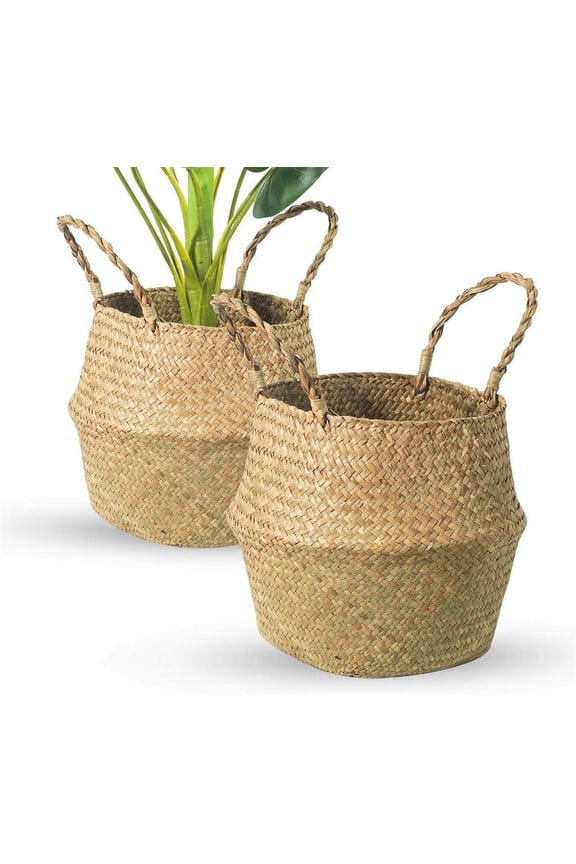 2 Pack Woven Plant Basket - Wicker Belly Basket Planter Indoor with Plastic Liner and Handles, Natural Plant Pot for Fiddle Leaf Fig Tree, Snake Plant (Small, Natural- Beige)
