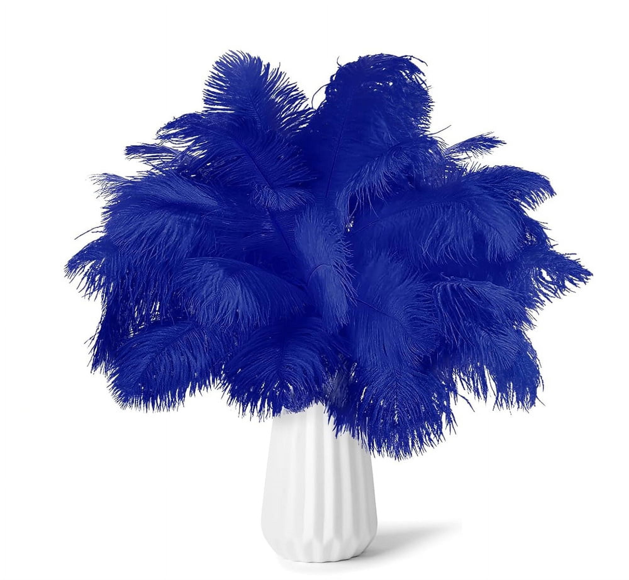 NOGIS 20 PCS Ostrich Feathers,Bulk Soft Natural Feathers for Crafts