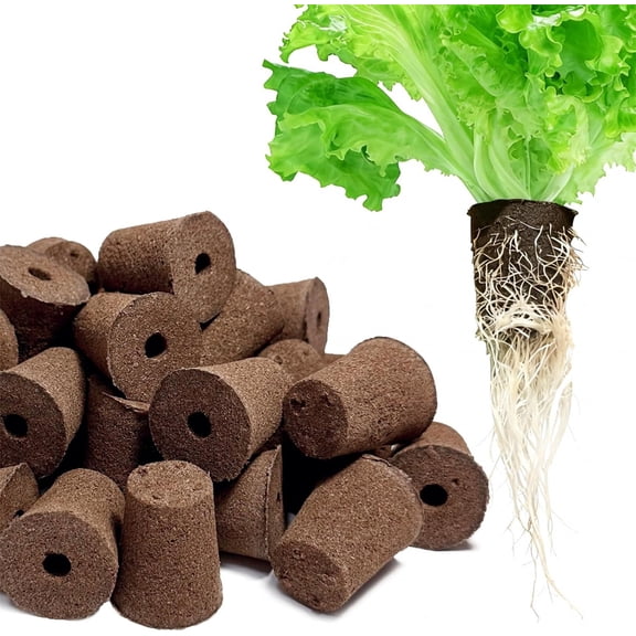 NOGIS 20 Pack Grow Sponges, Starter Plug for Seeds or Cuttings, General Hydroponics Rapid Rooter Plugs for Seedling Herbs Lettuce Vegetable Flower, Great for Soil or Hydroponics Growing System