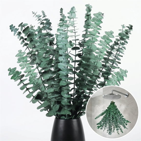NOGIS 20 Pack Dried Eucalyptus Bundle,17 inch 100% Natural Fresh Eucalyptus Branches Greenery Eucalyptus Stems for Aromatherapy to Your Shower,Also for Flower Arrangements Wedding Home Decor