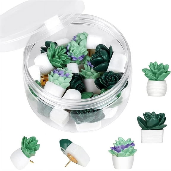 NOGIS 20 Pieces Cute Succulent Plants Decorative Push Pins Colorful Floret Thumbtacks for Photo Wall, Feature Wall, Cork Board, Map, Bulletin Board, Office or Home (Three Assorted Styles)