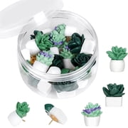 NOGIS 20 Pieces Cute Succulent Plants Decorative Push Pins Colorful Floret Thumbtacks for Photo Wall, Feature Wall, Cork Board, Map, Bulletin Board, Office or Home Three Assorted Styles