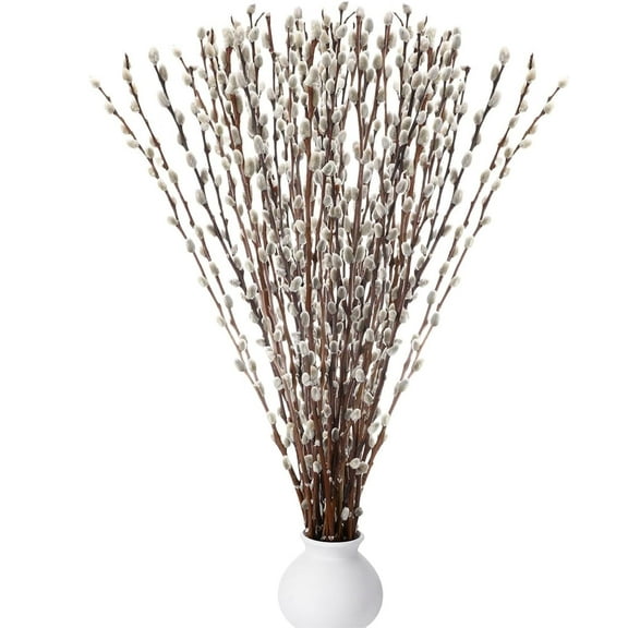 NOGIS 20 Stems Real Dried Pussywillow Preserved Greenery Branches for Vase- Natural Pussywillows with White Flowers,Snow Willow Branches for Easter Wedding Home Party Hotel Fireplace Yard Decor