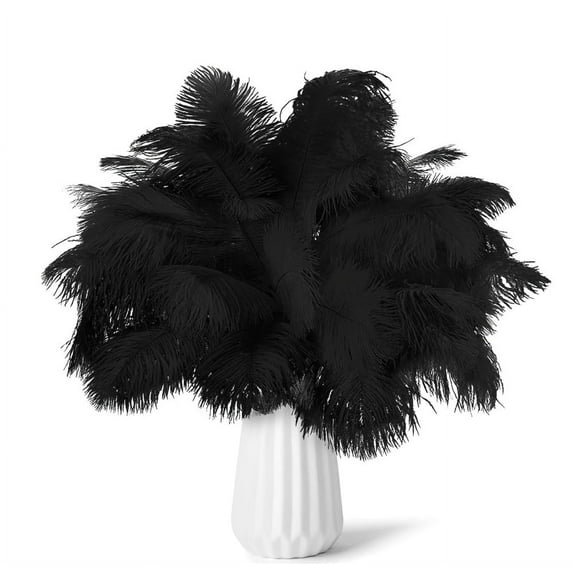 NOGIS 20pcs Black Ostrich Feathers Natural Bulk 8-10inch(20-25cm) Vase Craft Wedding Home Party Centerpieces Christmas Day Decoration