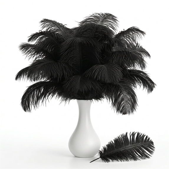 NOGIS 20pcs Black Ostrich Feathers Natural Bulk 8-10inch(20-25cm) Vase Craft Wedding Home Party Centerpieces Christmas Day Decoration