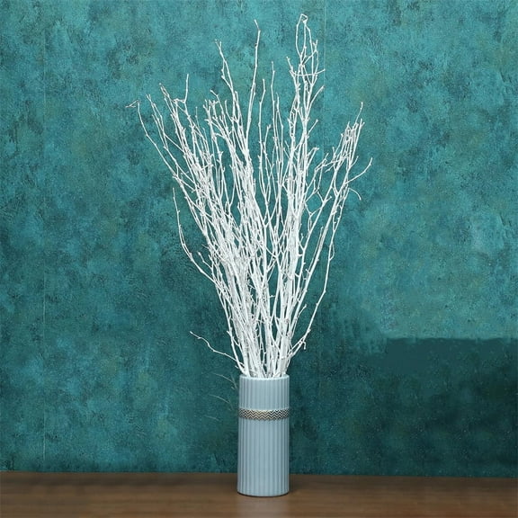 NOGIS 30 Pcs Real Dried White Birch Twigs Stems, 100% Natural 20" Birch Sticks Flower Arrangements,Curly Willow Branches, DIY, Floral Arrangement, Twig Wreath, Rustic Home Decor