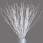 Artrylin 30Pcs Dried White Birch Twigs Branches - 100% Natural 20  Painted Birch for Christmas, Wedding, Vases Filler, Sticks for Centerpiece, Floral Arrangement, Twig Wreath, Rustic Decor