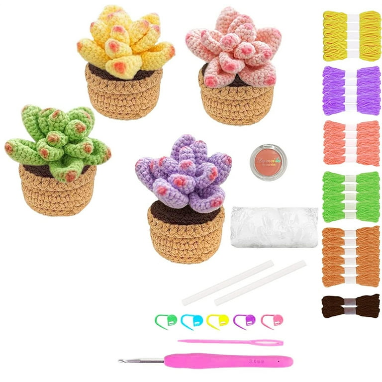 NOGIS 4Pcs Crochet Kit for Beginners, Succulents Crochet Potted Kit Fun  Potted Crochet Kit for Adults and Kids, DIY Crochet Potting Kit with