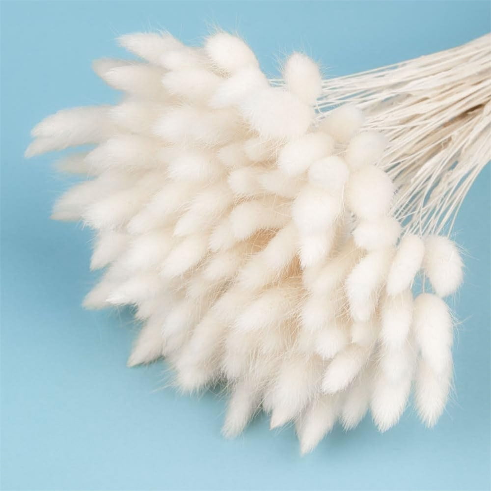 NOGIS 60 Stems 16'' White Rabbit Tails Dried Grass, Bunny Tail Lagurus
