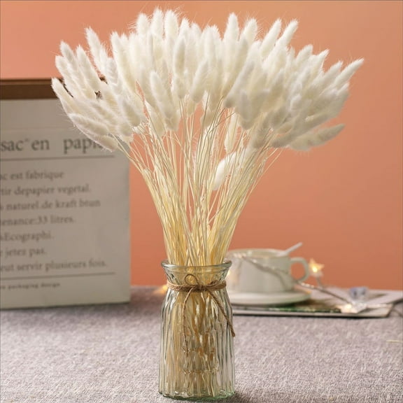 NOGIS 60pcs Rabbit Tail Dried Flowers Home Decoration , Real Flower, Eternal Flower Dried Grass,Flower Bouquet, Dried Grass Flower Arrangements Wedding Home Decor (16 Inch,White)