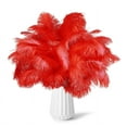 thumbnail image 1 of NOGIS 8-10 inch (20-25cm) Natural Ostrich Feathers for Wedding Centerpieces Home Decoration,Flower Arrangement,DIY Christmas Decorations Decoration (20pcs,Red), 1 of 7