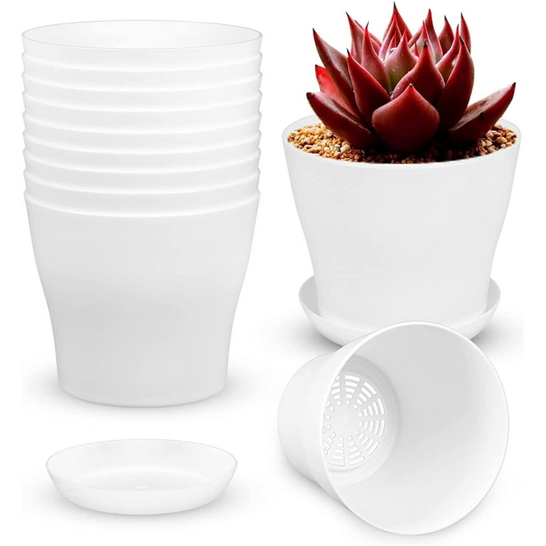 10 Pack 6 Inch Plastic Round Drainage Plant Pots Containers with Saucers Trays for Indoor and Outdoor Herbs, Succulents, Cactus and Flowers 10 Pack 6 Inch Plastic Round Drainage Plant Pots Containers with Saucers Trays for Indoor and Outdoor Herbs, Succulents, Cactus and Flowers