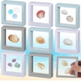 thumbnail image 1 of NOGIS 9 Pcs Seashell Holder 3D Floating Display Box 2.7 x 2.7 Inches Transparent Display Shelf Cases for Sea Shell Collectibles, Crystal Rock, Diamonds, Jewelry, Badges Decoration (Multicolor), 1 of 7