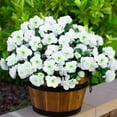 thumbnail image 1 of NOGIS Artificial Fake White Flowers Plants for Outdoor Outside Winter Christmas, Faux Silk Camellia UV Resistant Realistic for Front Door Porch Patio Balcony Garden Yard Decor, 5 Bundles, 1 of 7