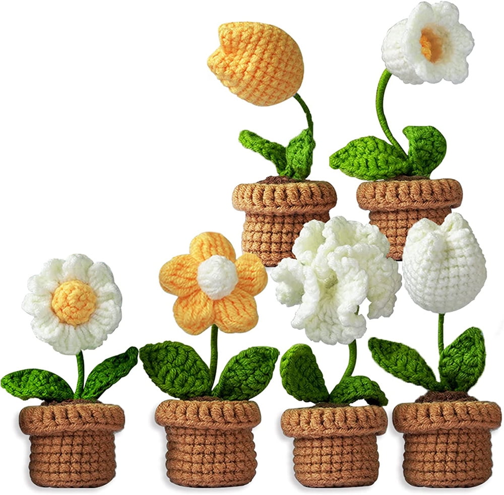 Crochet Kit for Beginners, 6 Pcs Crochet Potted Flowers Kit , Instructions  Gift