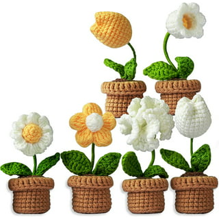  TEHAUX 2 Sets Crochet Kit for Beginners Crochet Flowers for  Adults DIY Kits White Yarn Knitting Kit Fresh Flower Bouquet Suit Crochet  Bouquet Kit Crochet Kits Blanket Child Animal