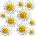 thumbnail image 1 of NOGIS Daisy Tissue Paper Pom Poms Flower Party Decorations White Yellow Flowers Wall Hanging 1st Birthday Bridal Baby Shower Wedding Classroom Decor 12" 8" Pack of 10, 1 of 7