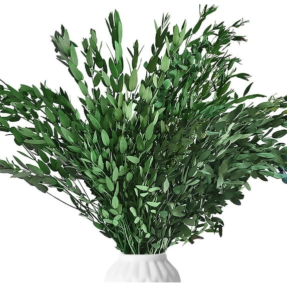 NOGIS Dried Eucalyptus Preserved Greenery Stems, 16'' 2.1oz Natural Real Eucalyptus Bundles for Shower, Green Leaves Plant for Arrangement, Wedding, Home, Office Decor (Green)