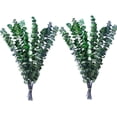 thumbnail image 1 of NOGIS Dried Eucalyptus for Shower, 17" Natural Fresh Green Eucalyptus Plant, Real Eucalyptus Leaves Branches, Eucalyptus Stems for Flower Arrangement, Green Bathroom Decor, Home Decor (20 Pcs), 1 of 7