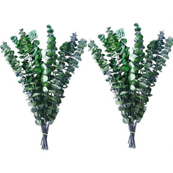 NOGIS Dried Eucalyptus for Shower, 17" Natural Fresh Green Eucalyptus Plant, Real Eucalyptus Leaves Branches, Eucalyptus Stems for Flower Arrangement, Green Bathroom Decor, Home Decor (20 Pcs)