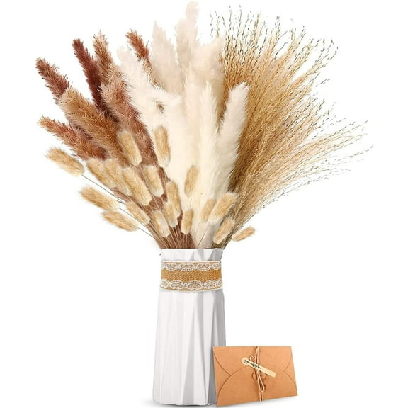 NOGIS Dried Grass - 60pcs Natural Dried Flowers, BrownWhite Grass Fluffy Fronds, Lagurus and Sedge Dried Flowers Bouquet Dried Flowers, for Flower Arrangement Home Decor