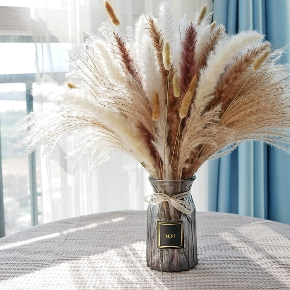 NOGIS Dried Grass Decor, 60 PCS Grass Contains Bunny Tails Dried Flowers, Reed Grass Bouquet for Wedding Boho Flowers Home Table Decor, Rustic Farmhouse Party (White and Brown)