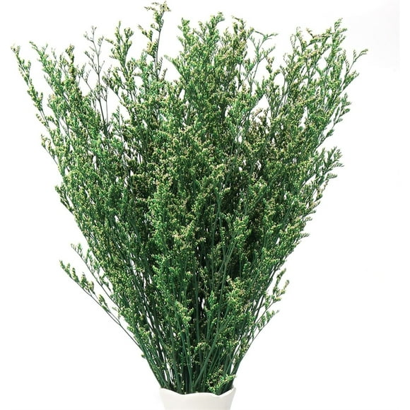 NOGIS Dried Preserved Caspia Limonium Statice Flower Bouquets 15.7 inch 4.2 oz DIY Arrangements for Vase, Home Decoration Photo Props Party and Weddings, Craft(Green)