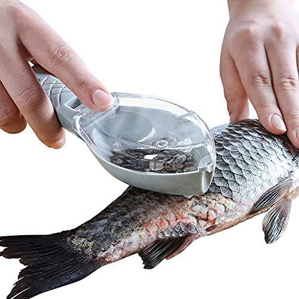 NOGIS Fish Scaler Skin Brush Scraping Fishing Brush Fast Remove