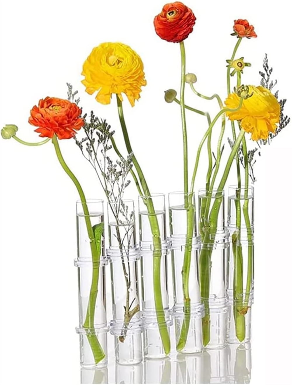 NOGIS Glass Flower Vases Small Flower Vases, Hinged Propagation Test