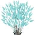 thumbnail image 1 of NOGIS Home Decoration Lagurus Ovatus Rabbit Tail Dried Flowers, Real Flower, Eternal Flower Dried Grass,Flower Bouquet, Natural Material Dried Flowers 60PCS (16 Inch,Blue), 1 of 7