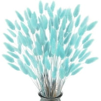 NOGIS Home Decoration Lagurus Ovatus Rabbit Tail Dried Flowers, Real Flower, Eternal Flower Dried Grass,Flower Bouquet, Natural Material Dried Flowers 60PCS (16 Inch,Blue)