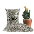 thumbnail image 1 of NOGIS Horticultural Pumice Stone - Pumice Stone for Plants Succulent Cactus Bonsai Orchid Soil Amendment 200g, 1 of 7