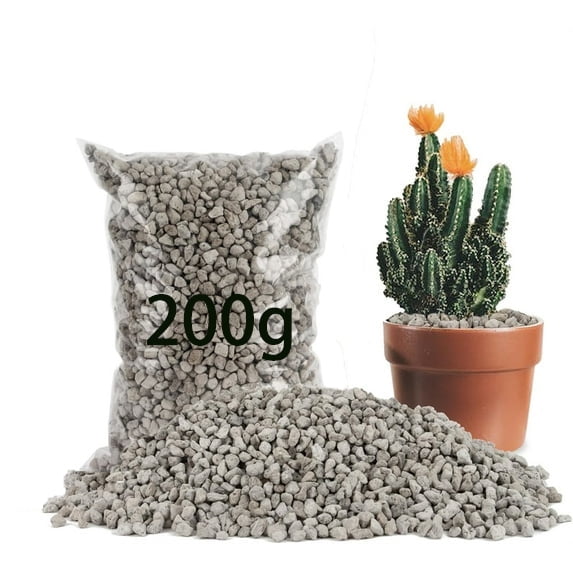 NOGIS Horticultural Pumice Stone - Pumice Stone for Plants Succulent Cactus Bonsai Orchid Soil Amendment 200g