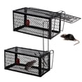 thumbnail image 1 of NOGIS Humane Rat Trap,Mouse Traps Indoor Outdoor Live Animal Trap Mouse Voles Hamsters Trap Small Animals Cage Catch Traps, 9x4.5x4.5 Inches (Black,2 Pcs), 1 of 7