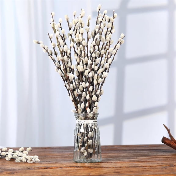 NOGIS Natural Preserved Dried Pussy Willow Branches for Vases, 10 Stems Real Willows, 12" Snow Pussywillows, Dried Flowers for Indoor and Outdoor Decor, Wedding Home DIY Floral Art Plants