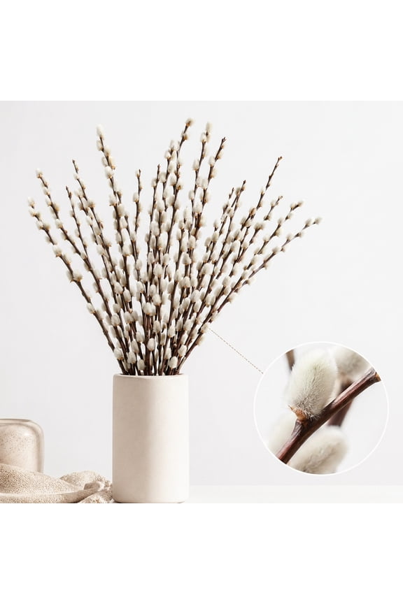 Natural Preserved Dried Pussywillow Branches for Vases, 20 Stems Real Willows, 15.7" Snow Pussywillows, Dried Flowers for Indoor and Outdoor Decor, Wedding Home DIY Floral Art Plants