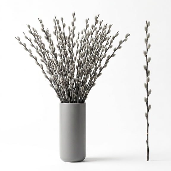 NOGIS Natural Preserved Dried Pussywillow Branches for Vases, 20 Stems Real Willows, 15.7" Snow Pussywillows, Dried Flowers for Indoor and Outdoor Decor, Wedding Home DIY Floral Art Plants