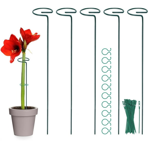 NOGIS Plant Stakes, 5 Packs, 17.8 Inches Single Stem Plant Support Stakes for Tomatoes, Flowers Stakes and Supports Amaryllis Stakes with 20pcs Plant Clips and 20pcs Ties for Indoor Plants