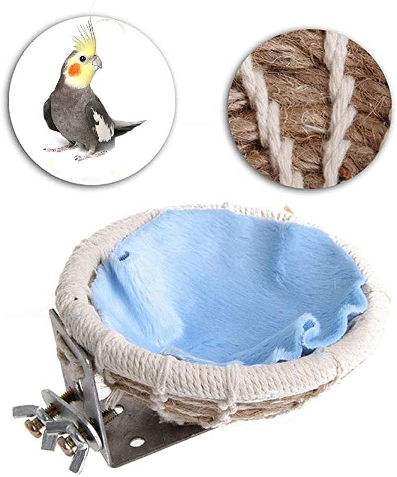Budgie bed 2025