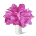 thumbnail image 1 of NOGIS Rose Red Ostrich Feathers 8-10inch(20-25cm) 20pcs Natural Feathers for Wedding Party Centerpieces Home Decorations Dream Catchers DIY Feathers, 1 of 7