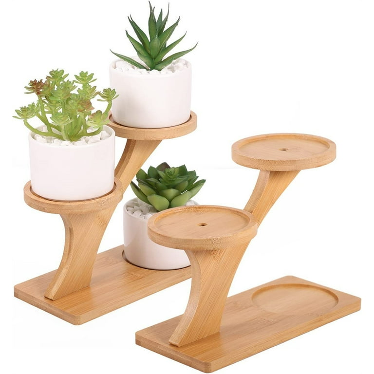 NOGIS Tabletop Bamboo Succulent Plant Stand Indoors Desktop Window